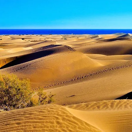 Апартаменты California Only Men Bungalows